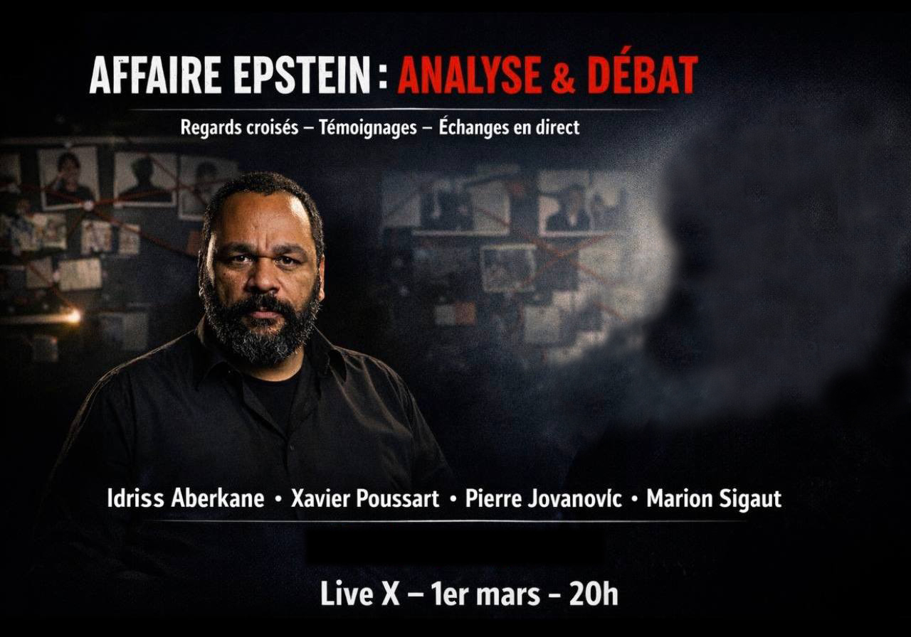Affaire Epstein, analyses et débats