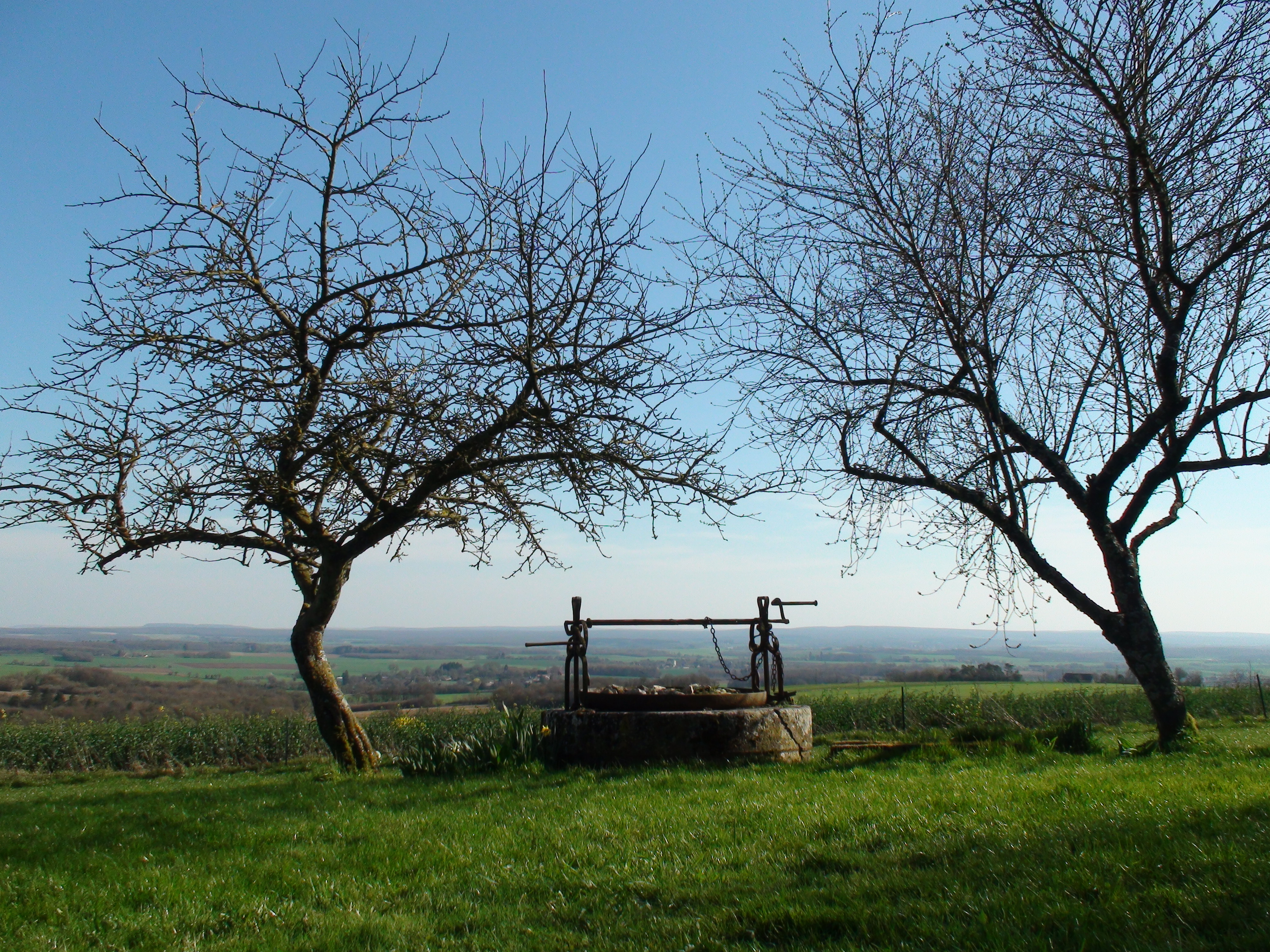 Du Kibboutz à Voltaire